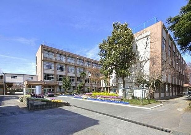 小学校「鎌ケ谷市立初富小学校まで800m」