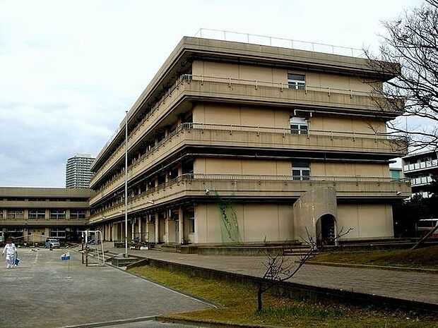 小学校「船橋市立市場小学校まで425m」