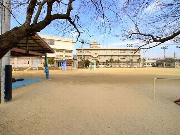 小学校「市川市立若宮小学校まで600m」