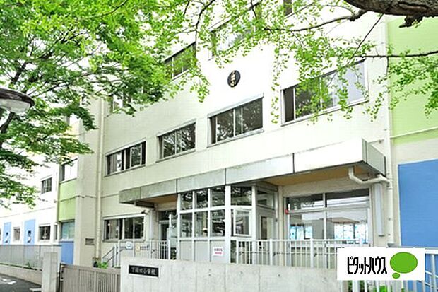 小学校「江戸川区立下鎌田小学校まで720m」