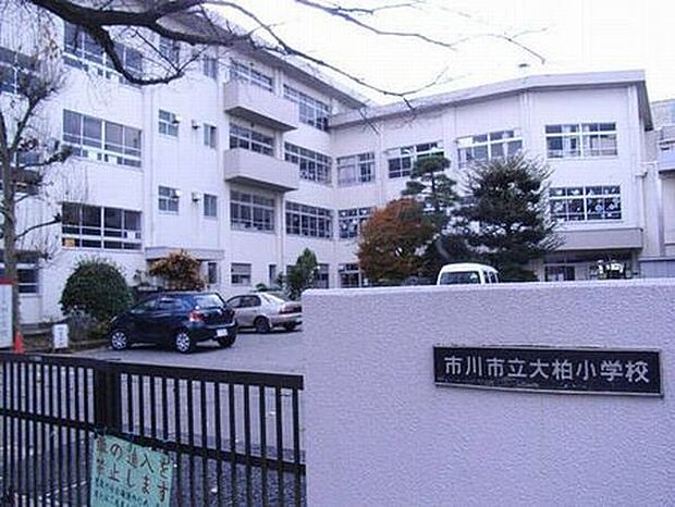 小学校「市川市立大柏小学校まで1280m」