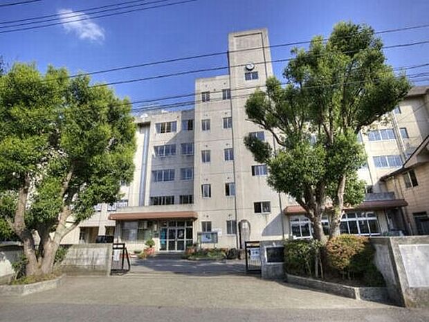 中学校「松戸市立和名ケ谷中学校まで767m」