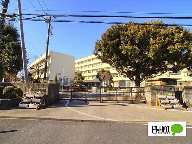 小学校「船橋市立坪井小学校まで1485m」