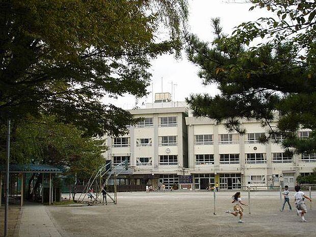 小学校「江戸川区立北小岩小学校まで260m」