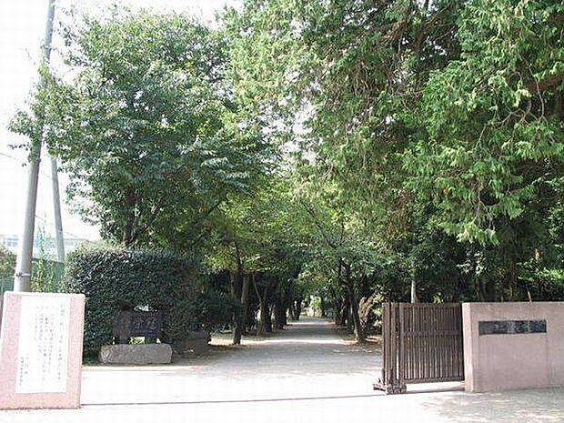 中学校「船橋市立御滝中学校まで1660m」