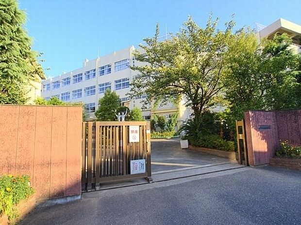 小学校「市川市立新浜小学校まで893m」