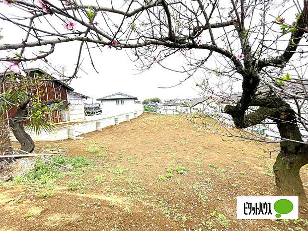 現地のご見学はいつでも可能です