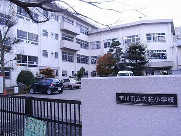 小学校「市川市立大柏小学校まで995m」