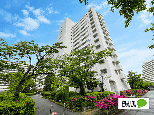 外観：313004696313