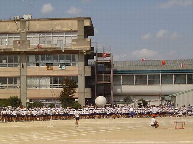 小学校「松戸市立柿ノ木台小学校まで1200m」