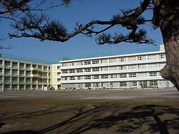 小学校「市川市立信篤小学校まで1100m」