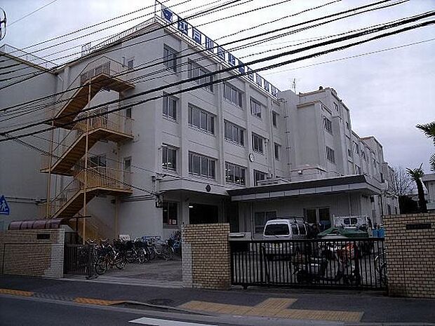 小学校「江戸川区立上一色南小学校まで390m」