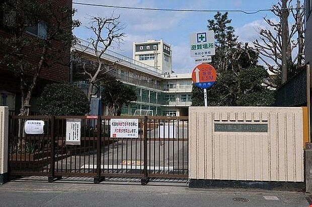 小学校「市川市立市川小学校まで550m」