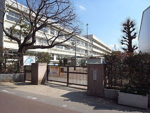 小学校「船橋市立八栄小学校まで350m」
