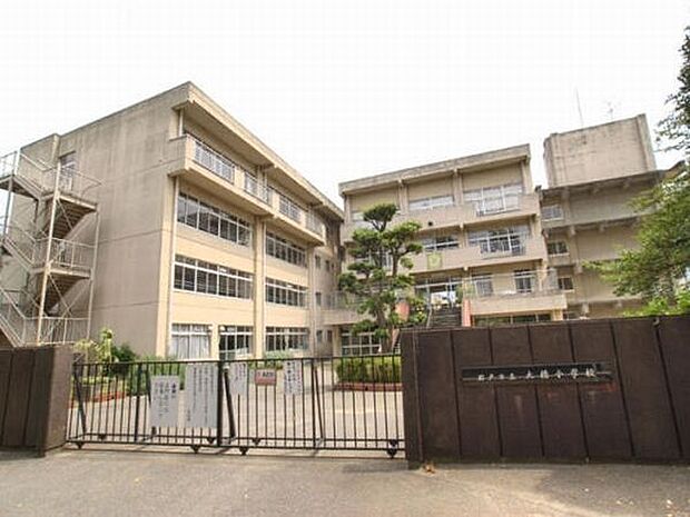 小学校「松戸市立大橋小学校まで380m」