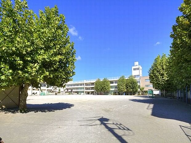 小学校「市川市立平田小学校まで300m」