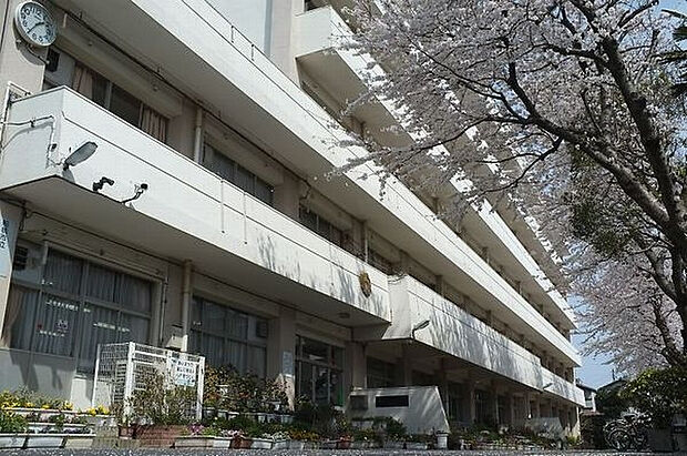 小学校「船橋市立丸山小学校まで350m」