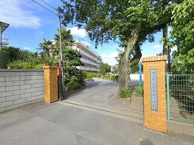 小学校「市川市立国府台小学校まで1200m」