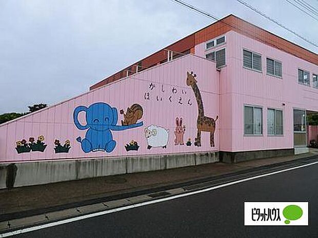 幼稚園、保育園「柏井保育園まで1080m」
