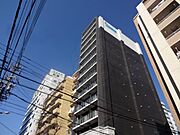 金山駅より徒歩4分 9階 築11年7ヶ月の賃貸物件