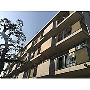 テラス台町 3階 築38年7ヶ月の賃貸物件