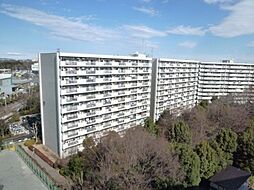 昭島つつじが丘ハイツ北17号棟