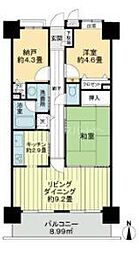 ライオンズプラザ梅島 803 8階2SLDKの間取り