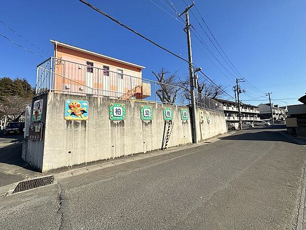 柏幼稚園 徒歩10分。 740m