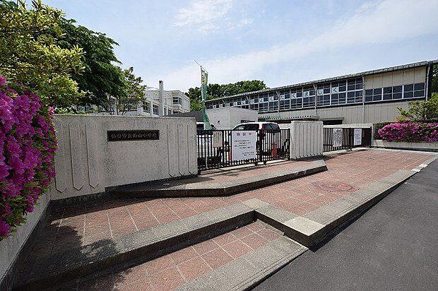 仙台市立西山小学校 徒歩7分。 560m