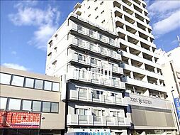 ソリッドリファイン大島