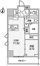 テラス森下 1LDKの間取図画像