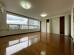 湯島ハイタウンＢ棟 10階1LDKのリビング/ダイニング