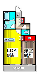 グレーシア 1LDKの間取図画像