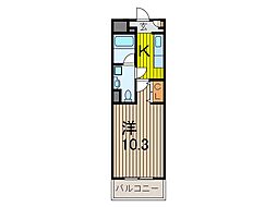 ステーラ・ルーチェ 1Kの間取図画像