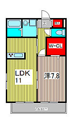 サンハイムテスタ 1LDKの間取図画像
