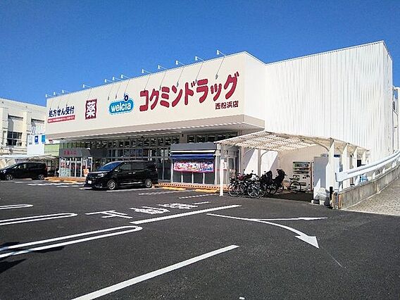 ■コクミンドラ...