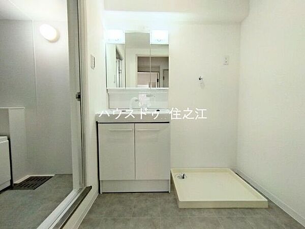 大きな三面鏡付きの洗面台です。たっぷりの収納を設けたシャワー付です