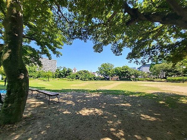 ■南港海のまち公園■南港海のまち公園 260m