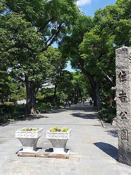 ■住吉公園■住吉公園 310m