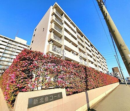 ★新北島コーポ3号棟・外観写真