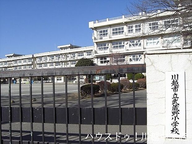 武蔵野小学校 1300m