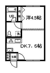 メゾン010 1DKの間取図画像