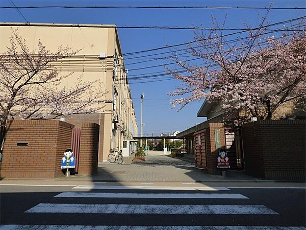 画像19:京都市立紫野小学校（202m）