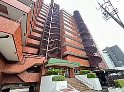 シャンボール康生
