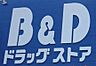 周辺：B＆Dドラッグストア岡崎康生店まで　300m　徒歩約4分