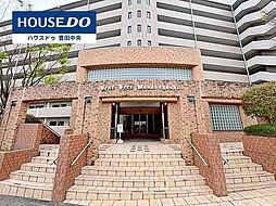 バンベール若林