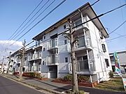 サンフォリア 3階 築38年7ヶ月の賃貸物件