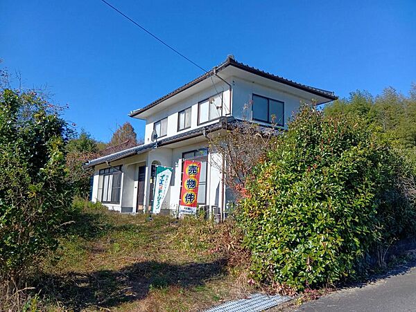 外観：333000049196