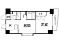 ラスター円山6階5.0万円