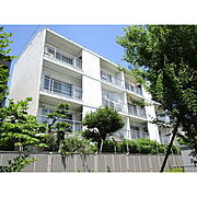 千代田ハイツ 1階 築49年10ヶ月の賃貸物件